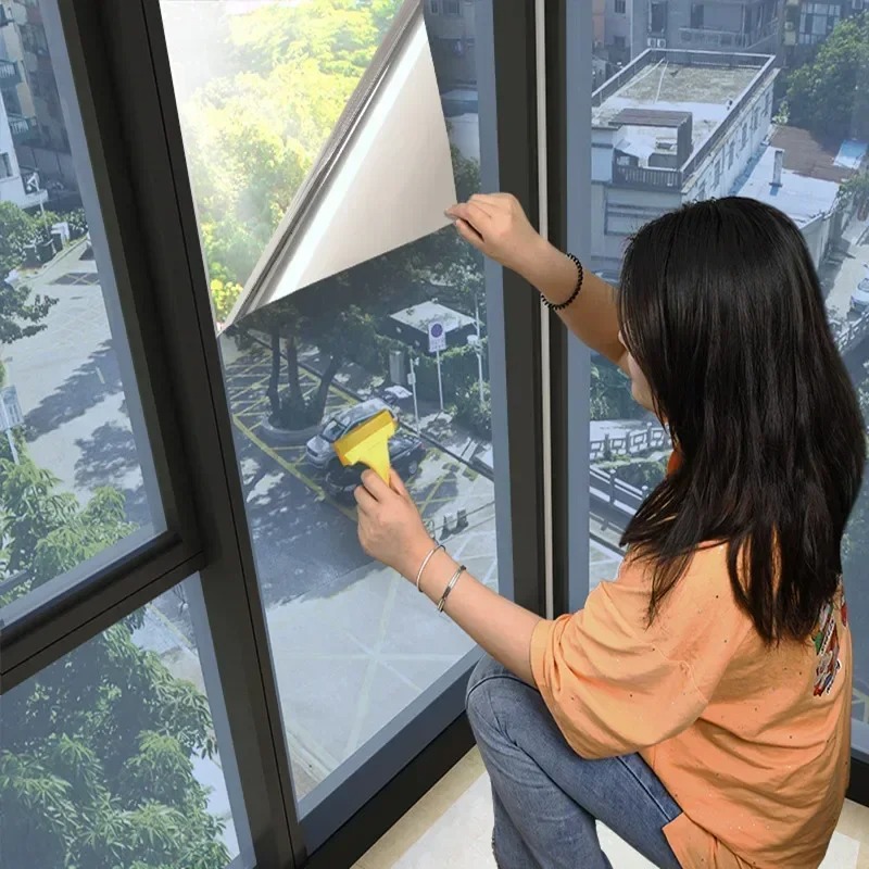 House Window Privacy Film Adhe - Window Insulation Film 评论和价格
